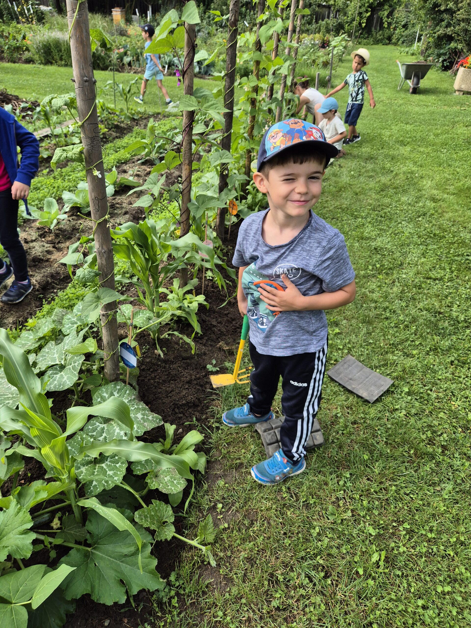 Schulgarten Knittelfeld