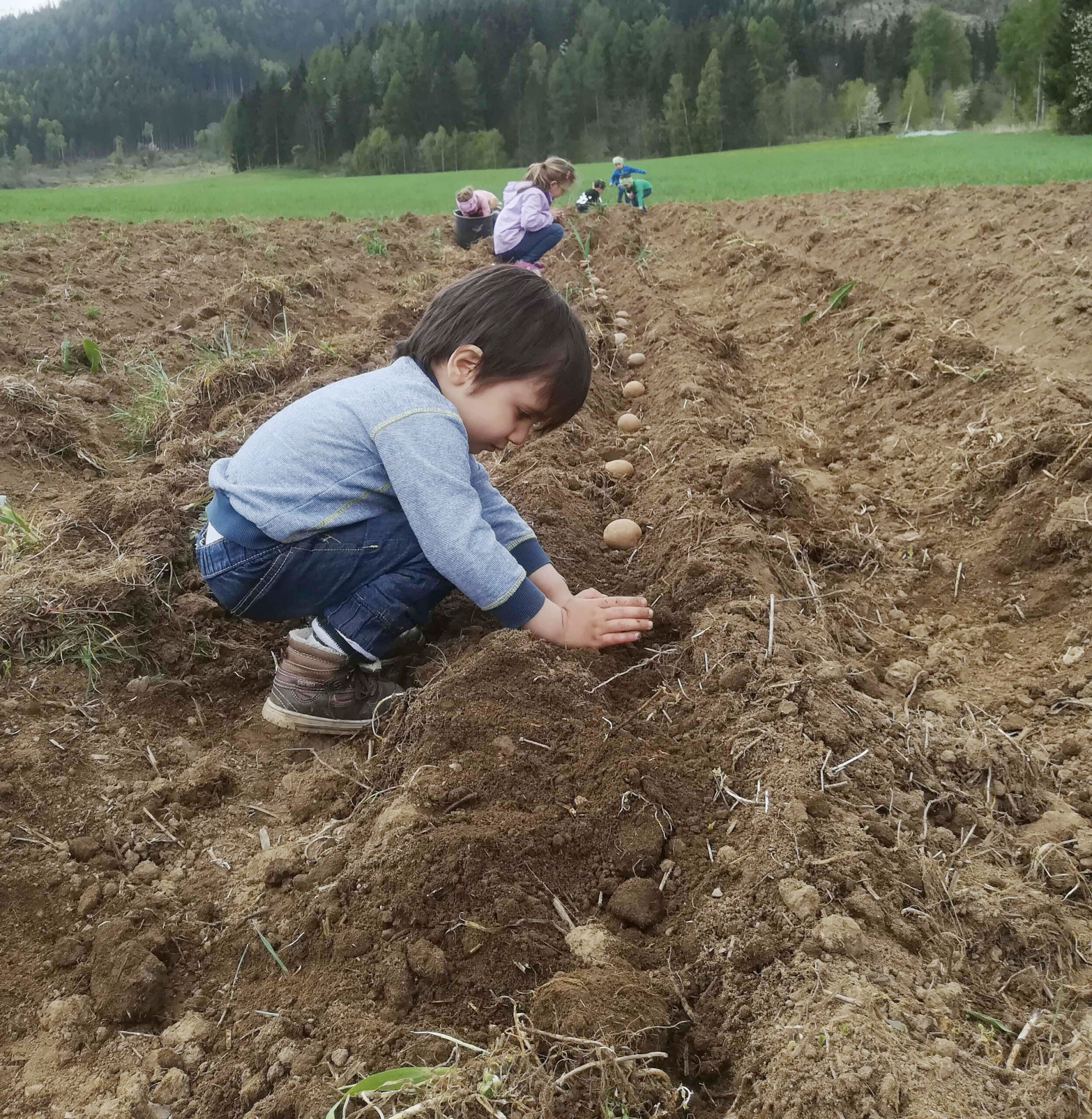 foto Logovorlage Kopie