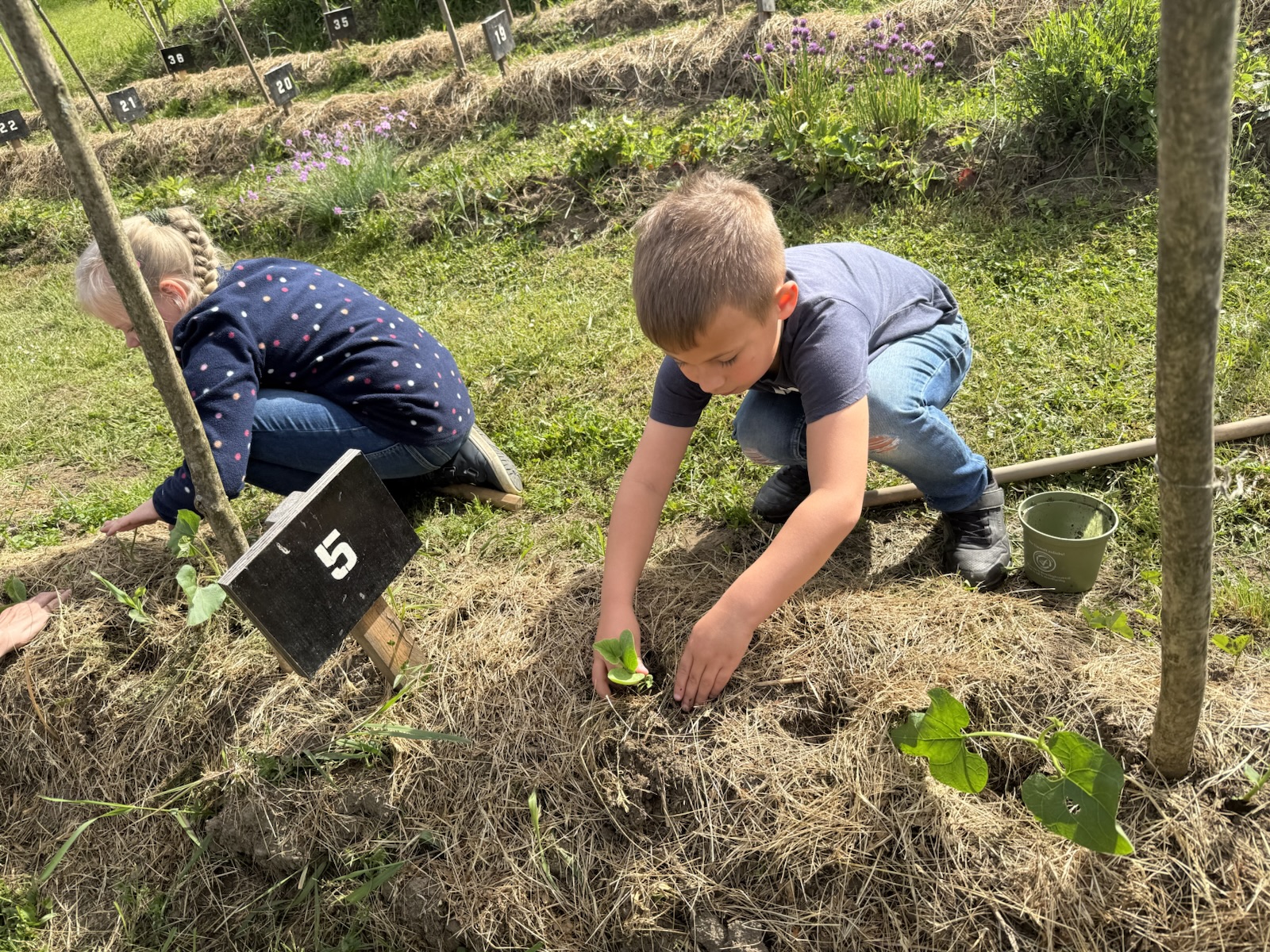 image-20250528-124853-228