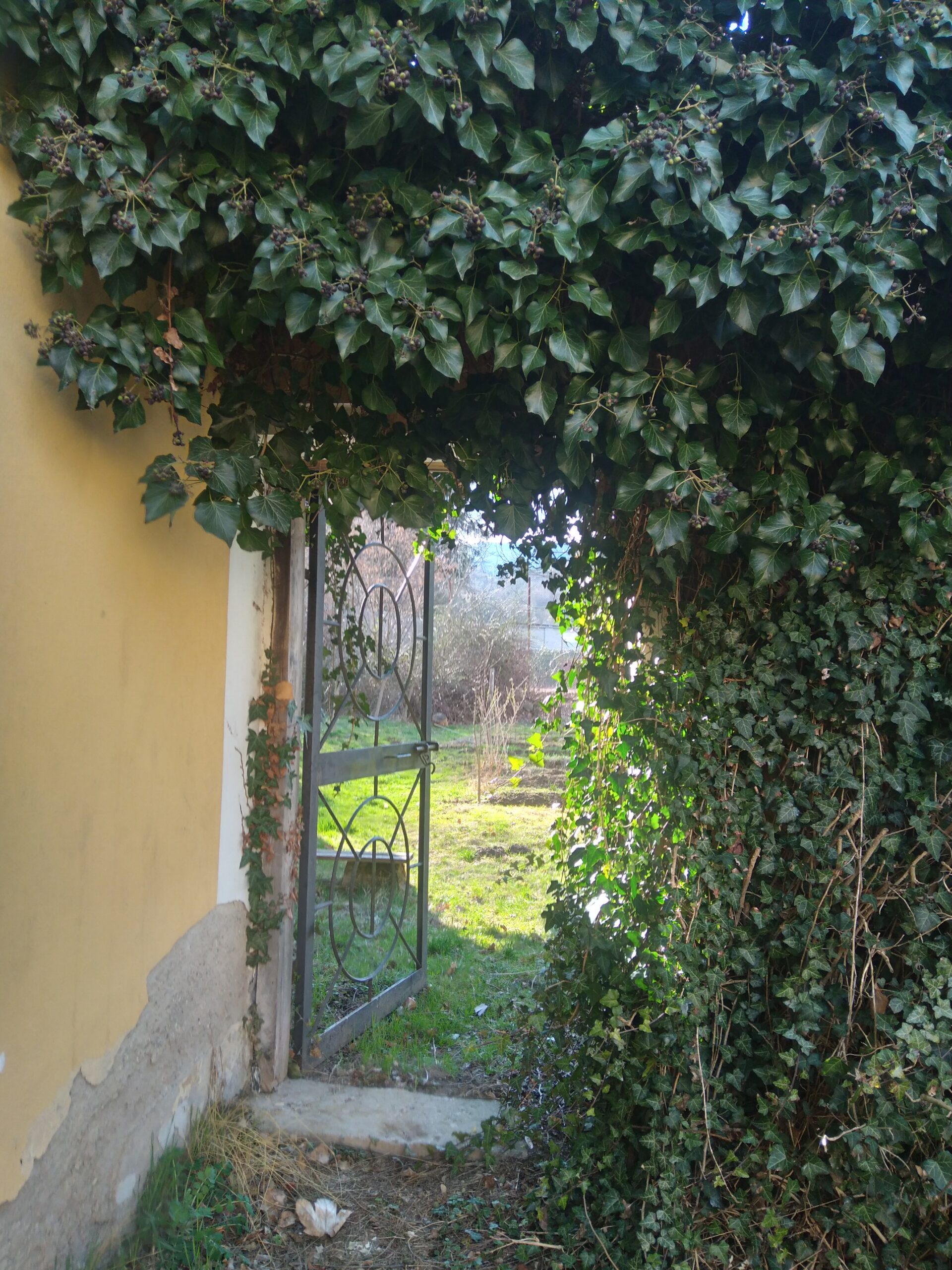 Schulgarten Deutschlandsberg